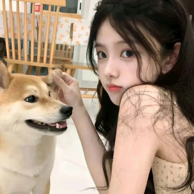 战争来到美国