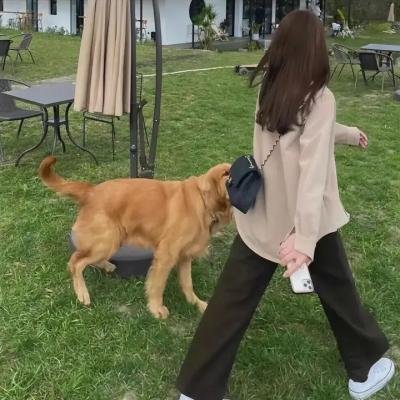 梨娘艳
